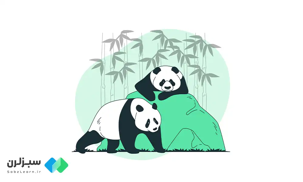 پانداس (Pandas) چیست؟