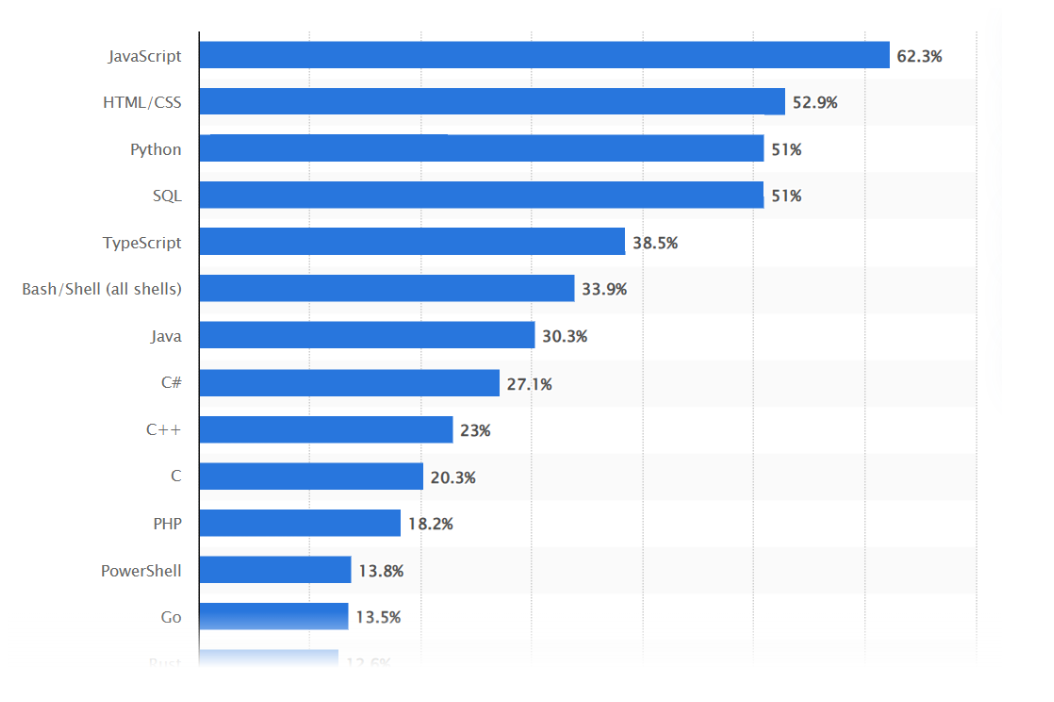 گزارش وب سایت Statista از بیشترین استفاده از زبان های برنامه نویسی 2024